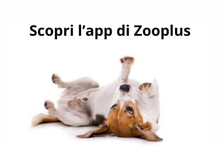 Scopri l’app di Zooplus